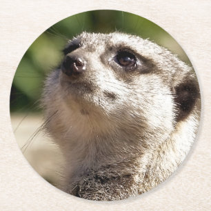 MEERKAT ROUND PAPER COASTER