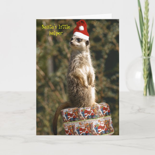 Meerkat, Santa's little helper Card (Front)