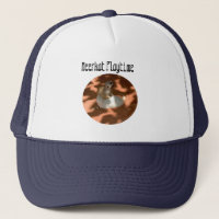 Meerkat Siblings, Truckers Hat
