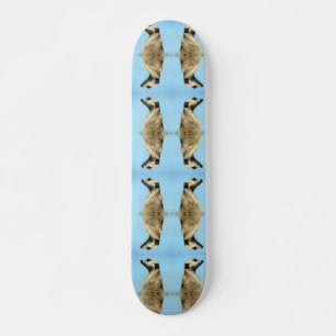 Meerkat Skateboard