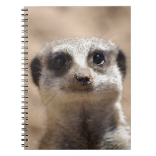 Meerkat Spiral Notebook