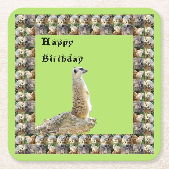 Meerkat Square Birthday Paper Coasters, Square Paper Coaster (Front)