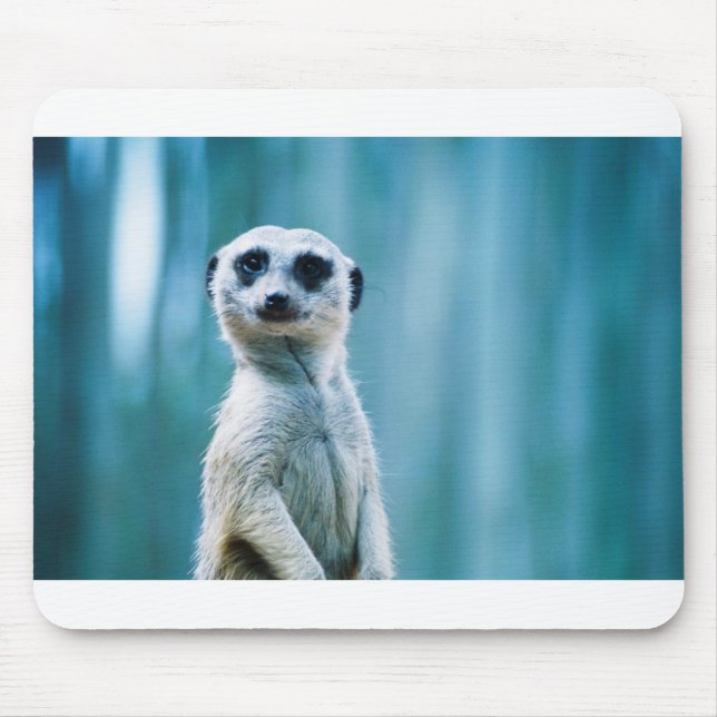 Meerkat Staredown Mouse Pad (Front)
