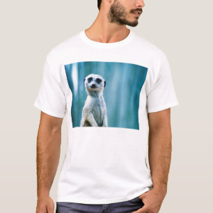 Meerkat Staredown T Shirt
