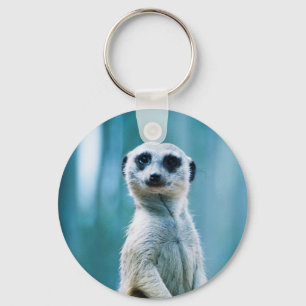 Meerkat Staredown - The Keychain