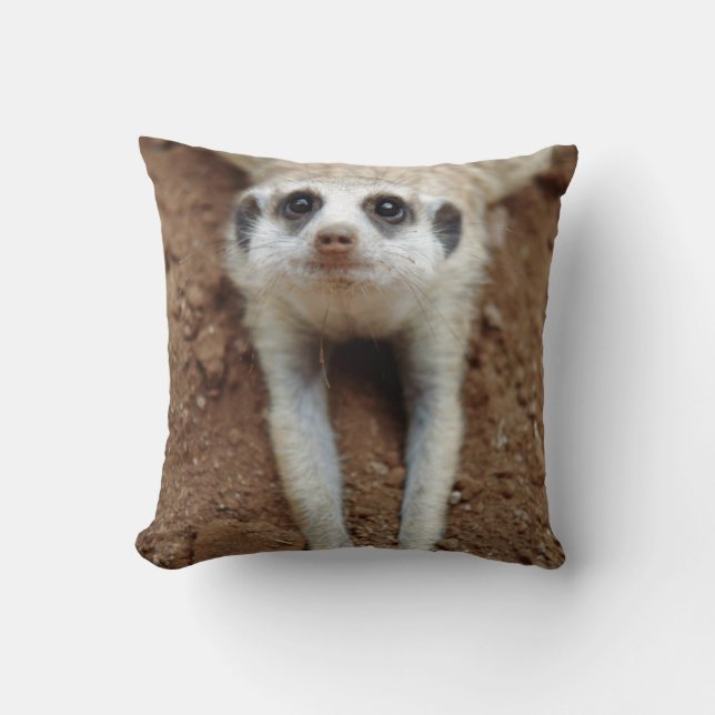 Meerkat (Suricata Suricatta) Cooling Down Cushion (Front)