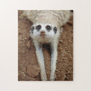 Meerkat (Suricata Suricatta) Cooling Down Jigsaw Puzzle