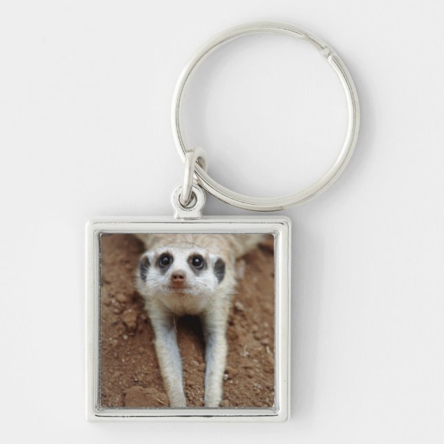 Meerkat (Suricata Suricatta) Cooling Down Key Ring (Front)