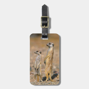 Meerkat (Suricata Suricatta) Sentinels, Karas Luggage Tag