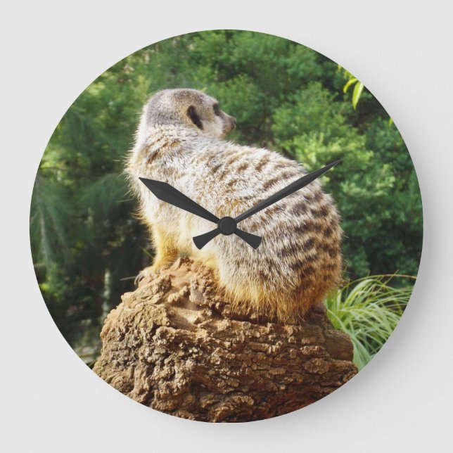 Meerkat Surveying The Greenery, Large Clock (Front)