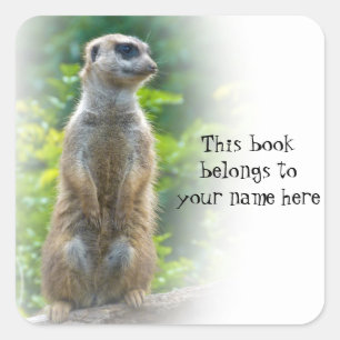 Meerkat "This book belongs to" sticker