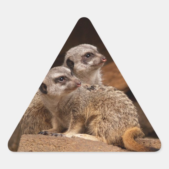 Meerkat Triangle Sticker (Front)
