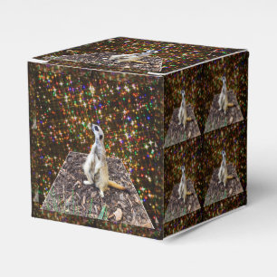 Meerkat Twinkle Stars, Favour Box