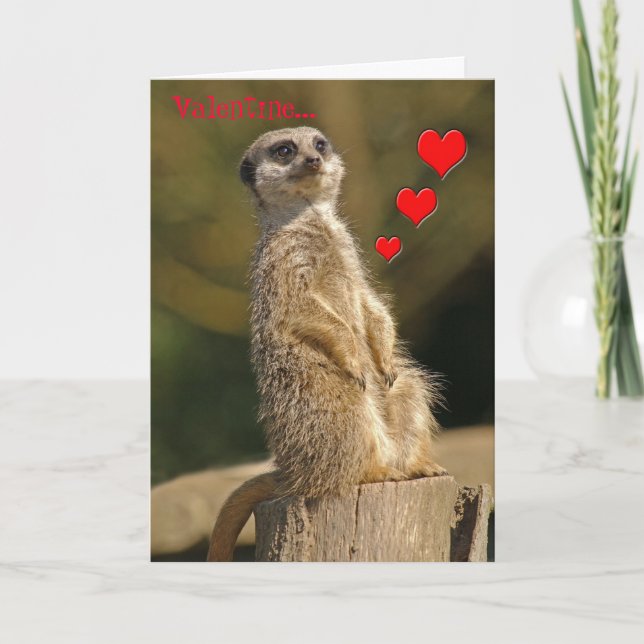 Meerkat Valentine Card 006 (Front)