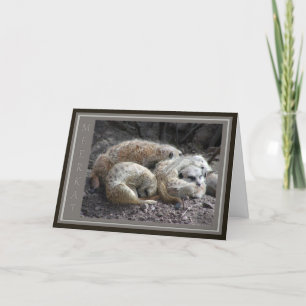 Meerkat Wildlife Thank You Card