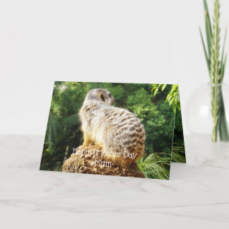Meerkat With A High View, Mothers Day Card