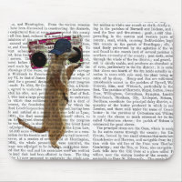Meerkat with Boom Box Ghetto Blaster 2