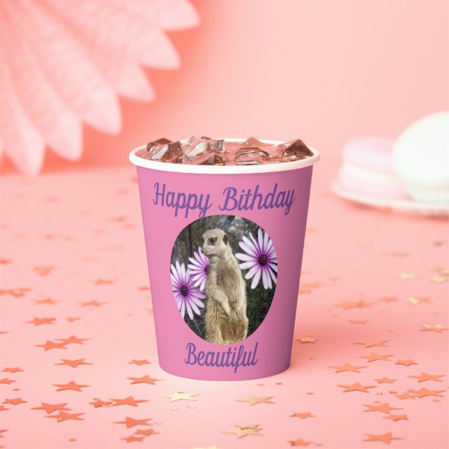 Meerkat With Daisies, Paper Birthday Cups (Insitu)