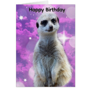 Meerkat With Sparkle, Birthday Card