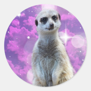 Meerkat With Sparkle, Classic Round Sticker