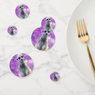 Meerkat With Sparkle, Confetti
