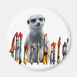 MeerkatcAnd Meerkats Picture Logo, Magnet