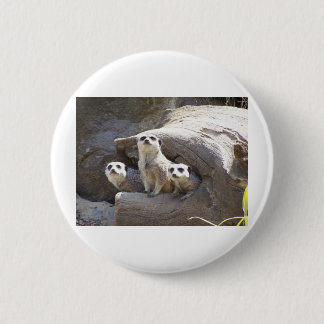 Meerkats 6 Cm Round Badge