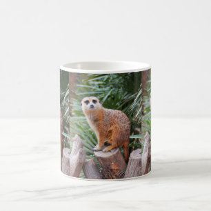 Meerkats animal coffee mug