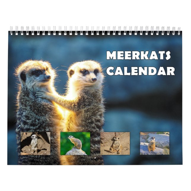 Meerkats Calendar (Cover)