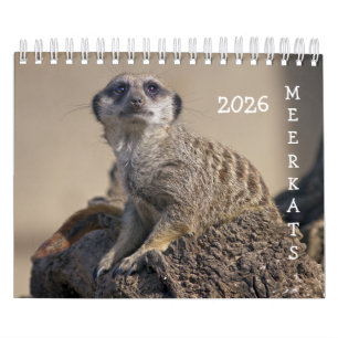 Meerkats Calendar 2025