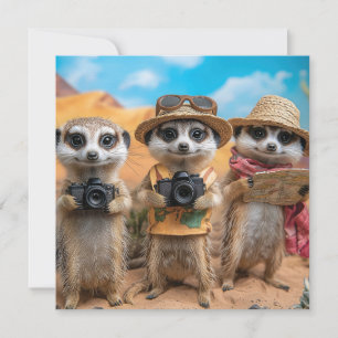 Meerkats Dressed as Tourists with Cameras and Maps