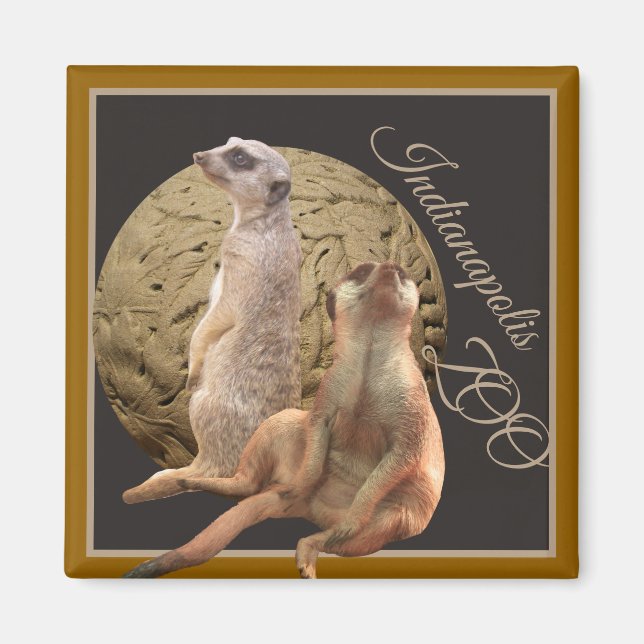 Meerkats  Indianapolis Zoo Magnet (Front)