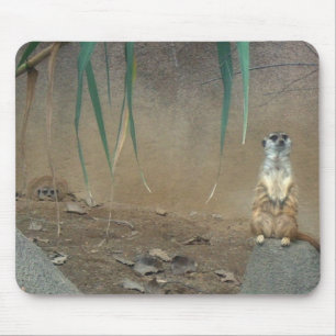 Meerkats Mouse Pad
