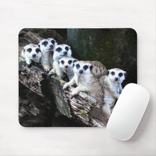 Meerkats Mouse Pad (With Mouse)