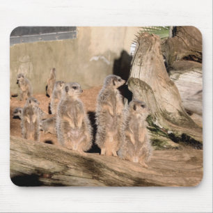 Meerkats Mouse Pad