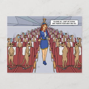 Meerkats on a Plane Postcard