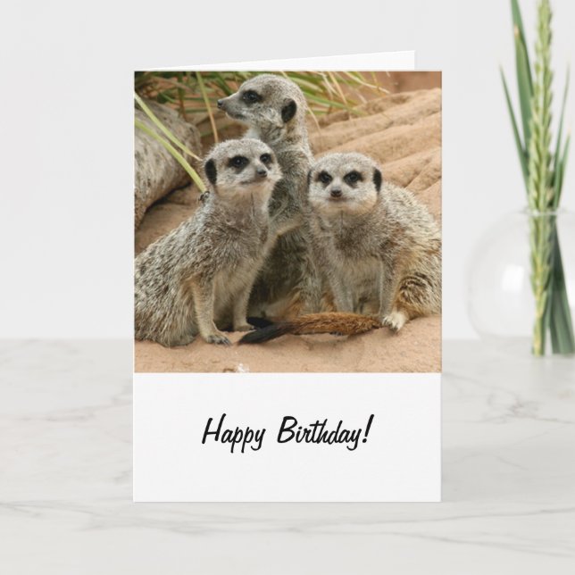 Meerkats on the lookout card (Front)
