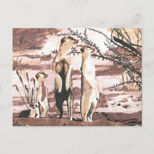 Meerkats Postcard (Front)
