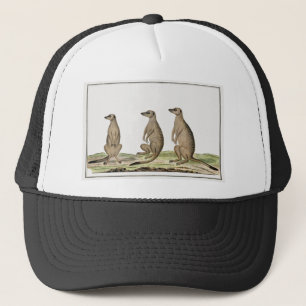 Meerkats Trucker Hat
