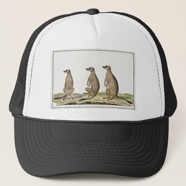 Meerkats Trucker Hat (Front)