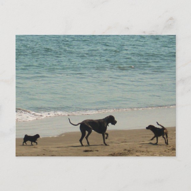 Meet & Greet Postcard (Front)