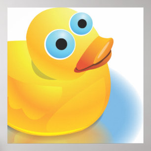 Meet Mr Quack Poster