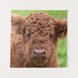 Meet the Adorable Highland Calf Tapestry