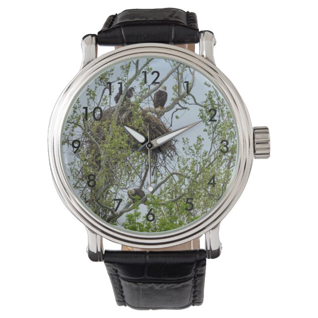Meet The Eagle Family Watch (Front)