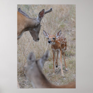 Meet The New Baby Poster