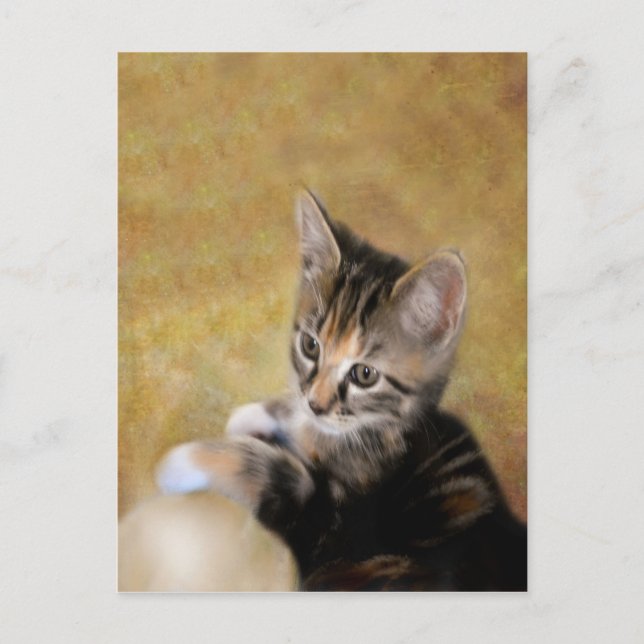 Meet Tiger Postcard (Front)