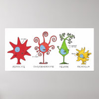 Meet your brain cells  WIDE