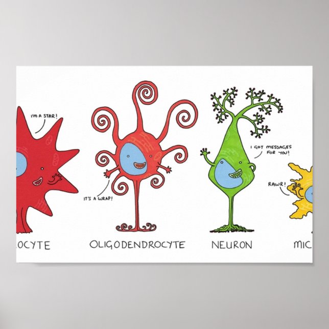 Meet your brain cells  WIDE Poster (Front)
