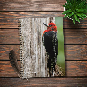 Meeting a Red-Breasted Sapsucker Spiral Notebook