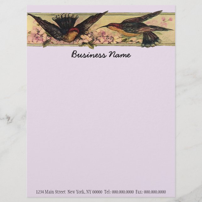 Meeting Birds ~ Business Letterhead Letter Work Template (Front)